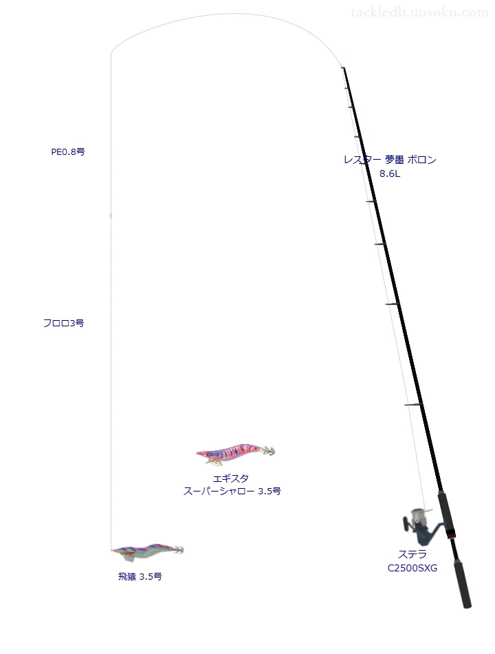 ソルティメイト インフィニティブ×4 0.8号とアバニ エギング ショックリーダー 3号を使用したエギングタックル【レスター 夢墨 ボロン 8.6L】