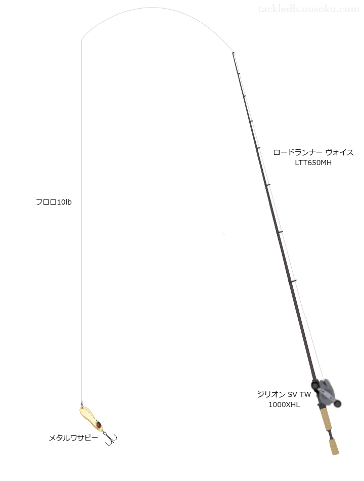 【津久井湖】メタルワサビーのためのタックル