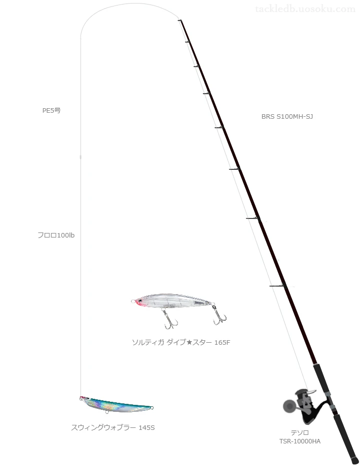 BRS S100MH-SJとスウィングウォブラー 145Sによる最強ロックショアタックル