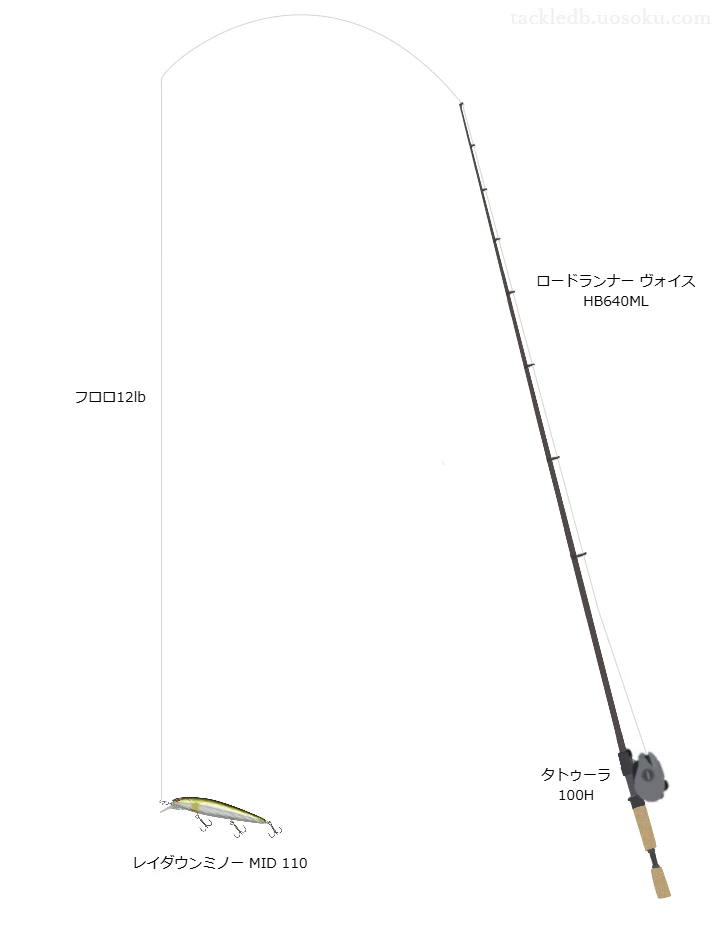 【入鹿池】レイダウンミノーMID110用タックル