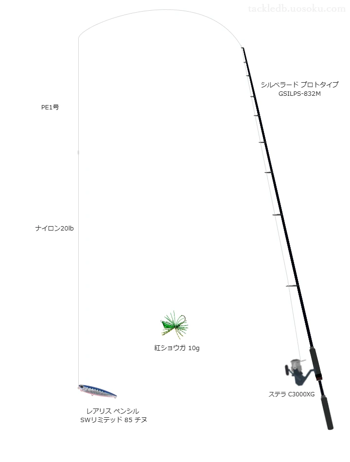 ウエイトが10.0g程度のルアーのためのチニングタックル【レアリス ペンシル SWリミテッド 85 チヌ】