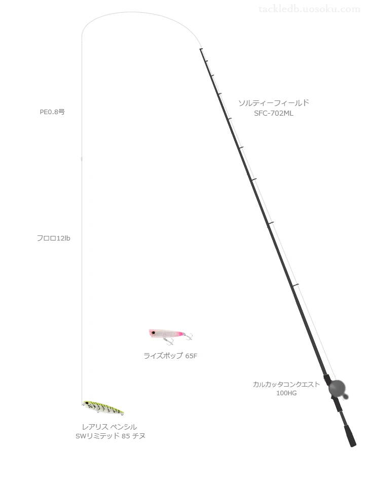 レアリス ペンシル SWリミテッド 85 チヌを使いこなすタックル【仮想インプレ】