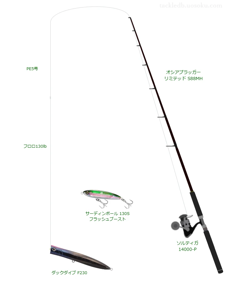 オシアプラッガー リミテッド S88MHとポッパーによるキャスティングタックル【Vインプレ】