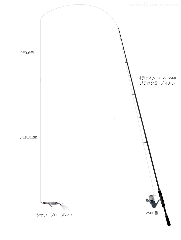 【室生ダム】シャワーブローズ77.7用タックル