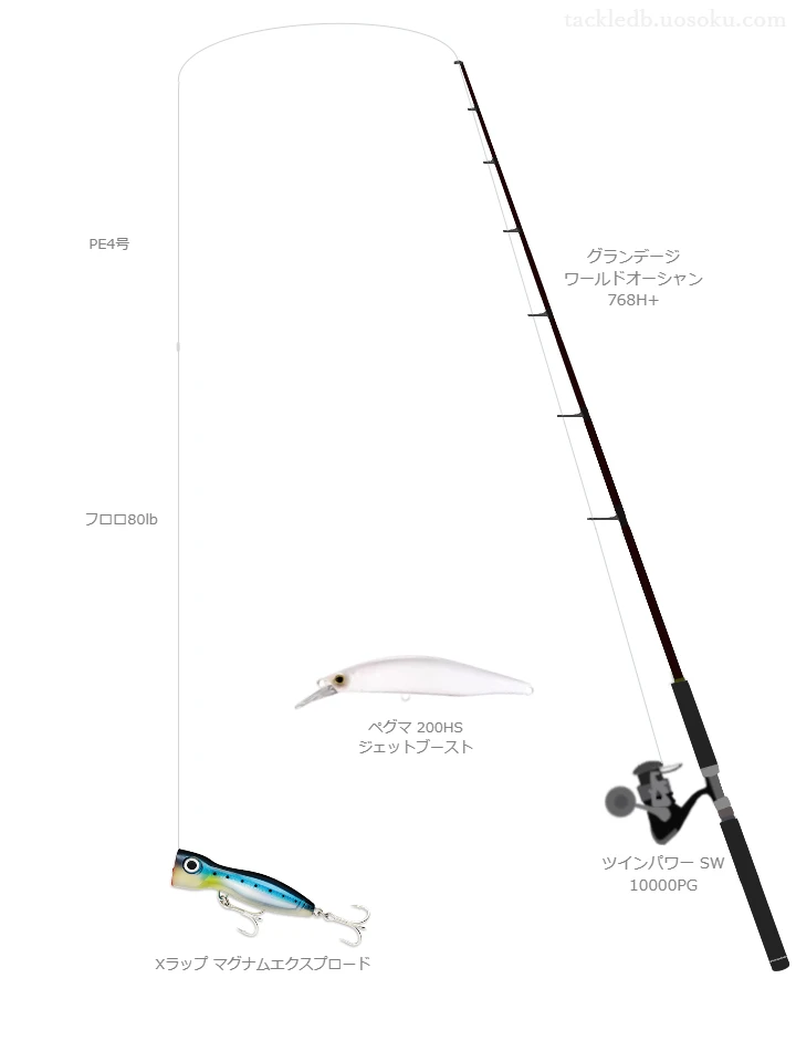 APPLAUD SALTMAX GT-R PE 4号とソルティメイト システムショックリーダーFC 80lbを使用したキャスティングタックル【グランデージ ワールドオーシャン 768H+】