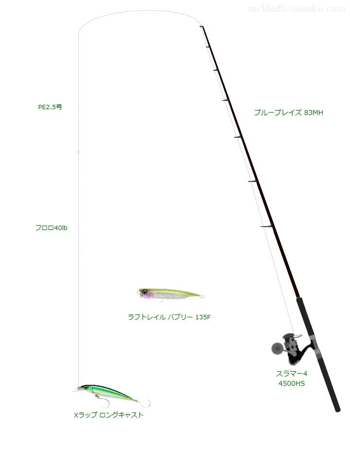 ラパラのXラップ ロングキャストの仮想使用におけるインプレッション