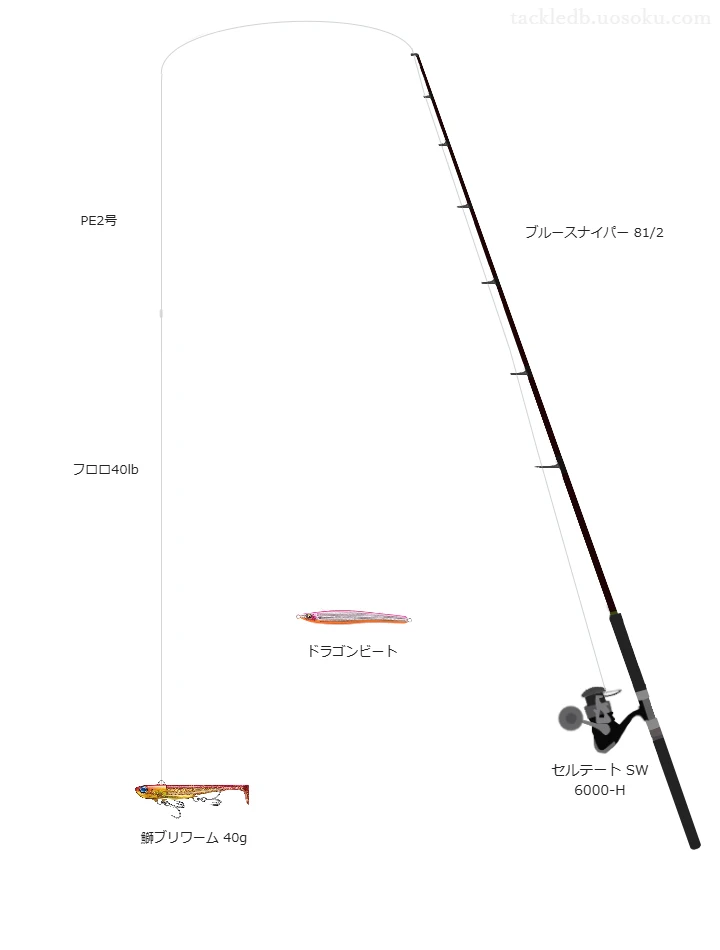 エキスパート向けキャスティングタックル。ブルースナイパー 81/2とダイワのリール