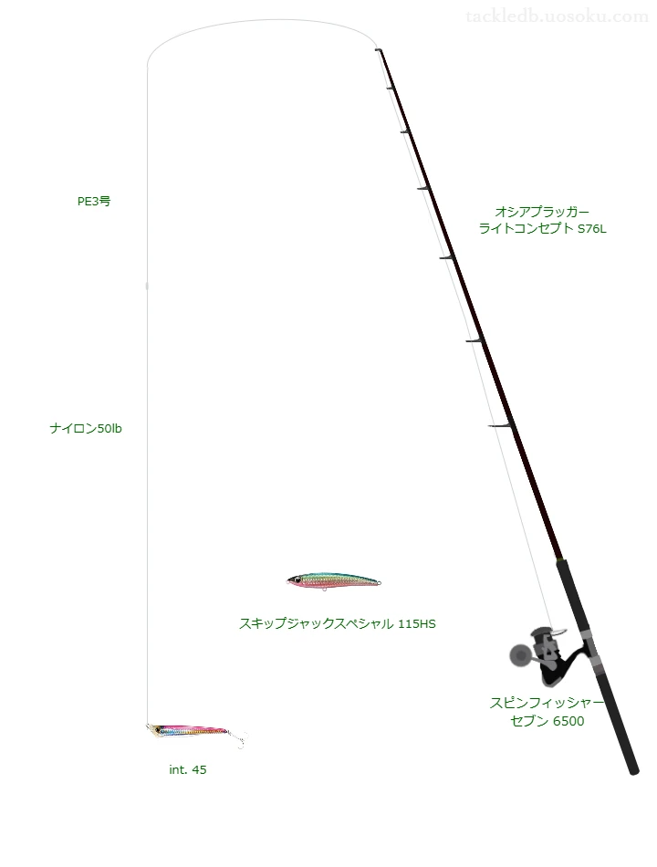 【足摺岬沖】int. 45を活かすキャスティングタックル【仮想インプレ】