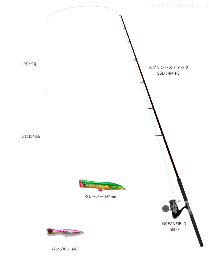 ハードコア X8 プロ 2.5号とFC ABSORBER TIGHT KNOT 40lbを使用したキャスティングタックル【スプリントスティック SSD 74M-P3】