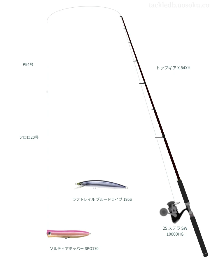 【八丈島】ソルティアポッパー SPO170を活かすキャスティングタックル【仮想インプレ】