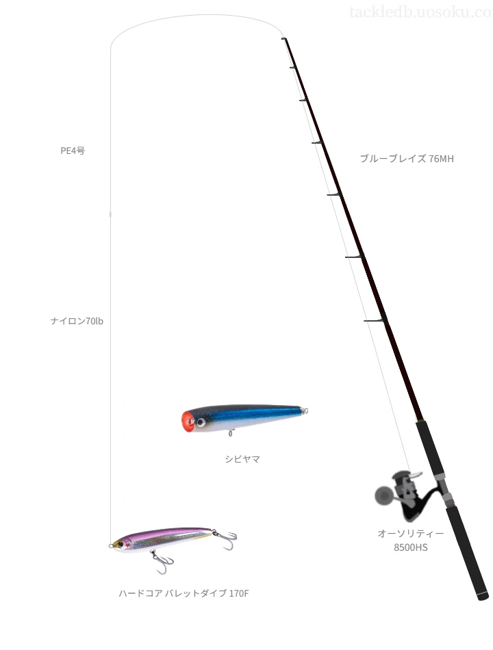 ハードコア バレットダイブ 170Fのためのキャスティングタックル。レスターファインのロッドとPENNのリール