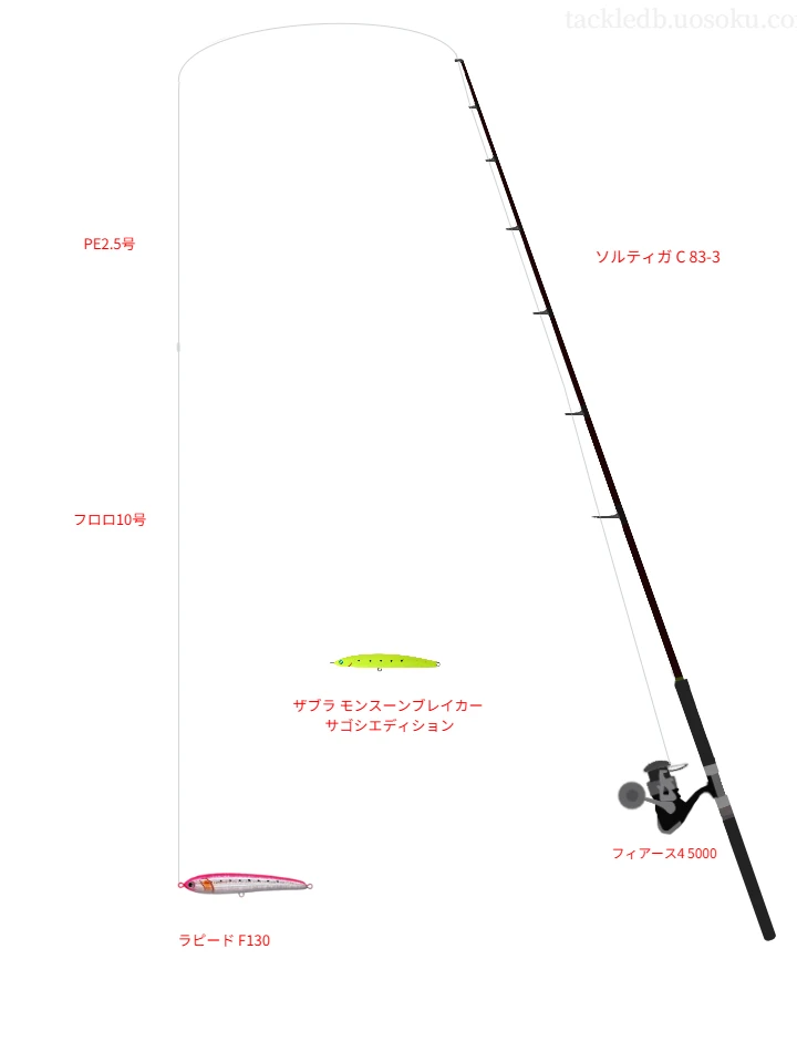 ラピード使用タックル！インプレ及び合うロッドやラインについて | 魚