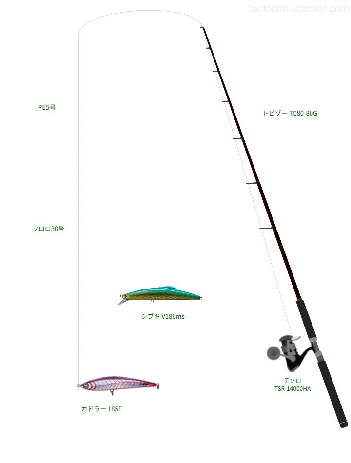 【南伊豆沖】カドラー 185Fのためのキャスティングタックル【トビゾー TC80-80G】