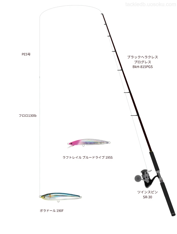 ブラックヘラクレス プログレス BkH-815PGS,ツインスピン SR-30,ペンシルを使うキャスティングタックル【仮想インプレ】