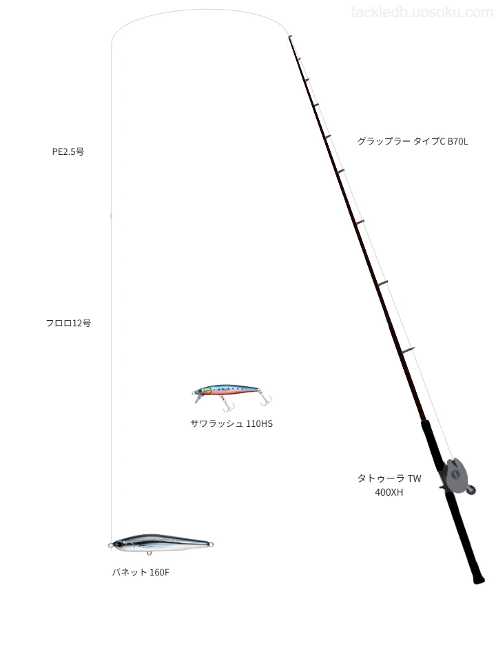 ミドルクラスキャスティングタックル。グラップラー タイプC B70Lとタトゥーラ TW 400XHのリール