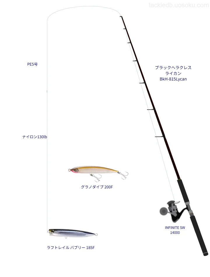 ODDPORT WX P-1 8 5号とAPPLAUD SALT MAX SHOCK LEADER TYPE-N 130lbを使用したキャスティングタックル【ブラックヘラクレス ライカン BkH-815Lycan】