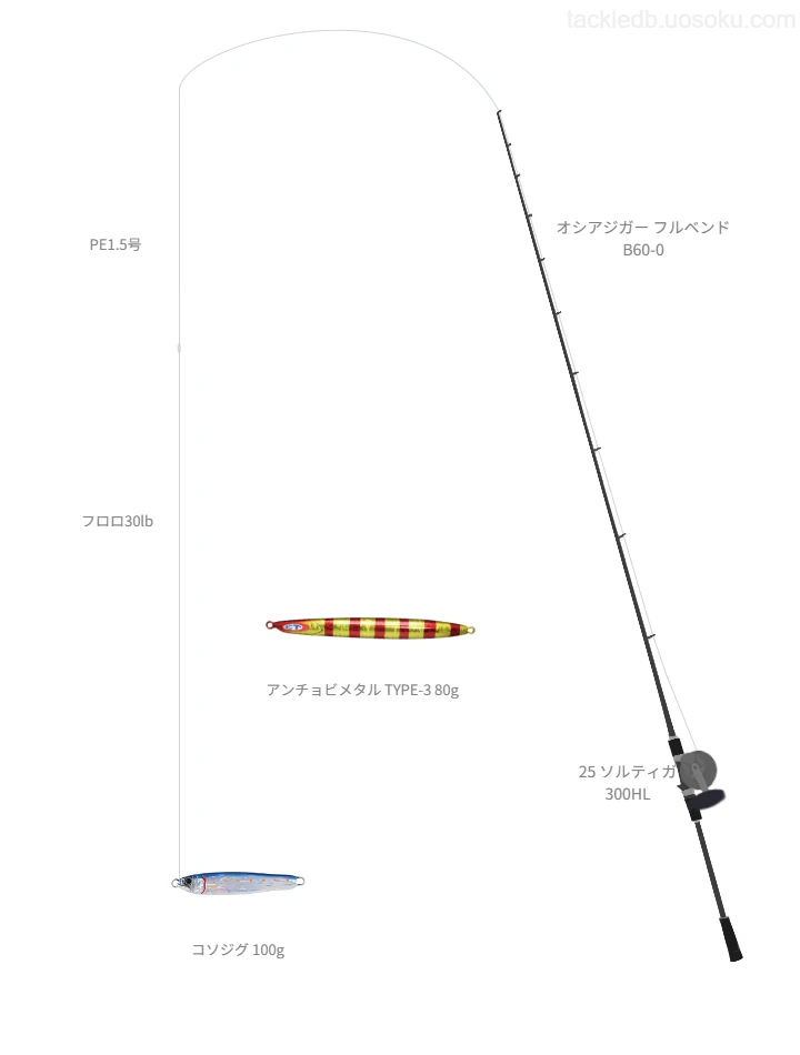 コソジグ 100gのためのジギングタックル