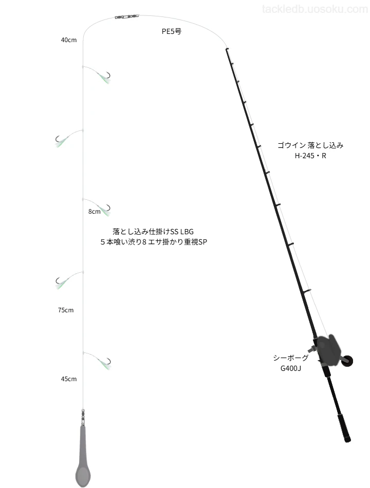 平戸沖落とし込み釣りタックル【ゴウイン落とし込み】