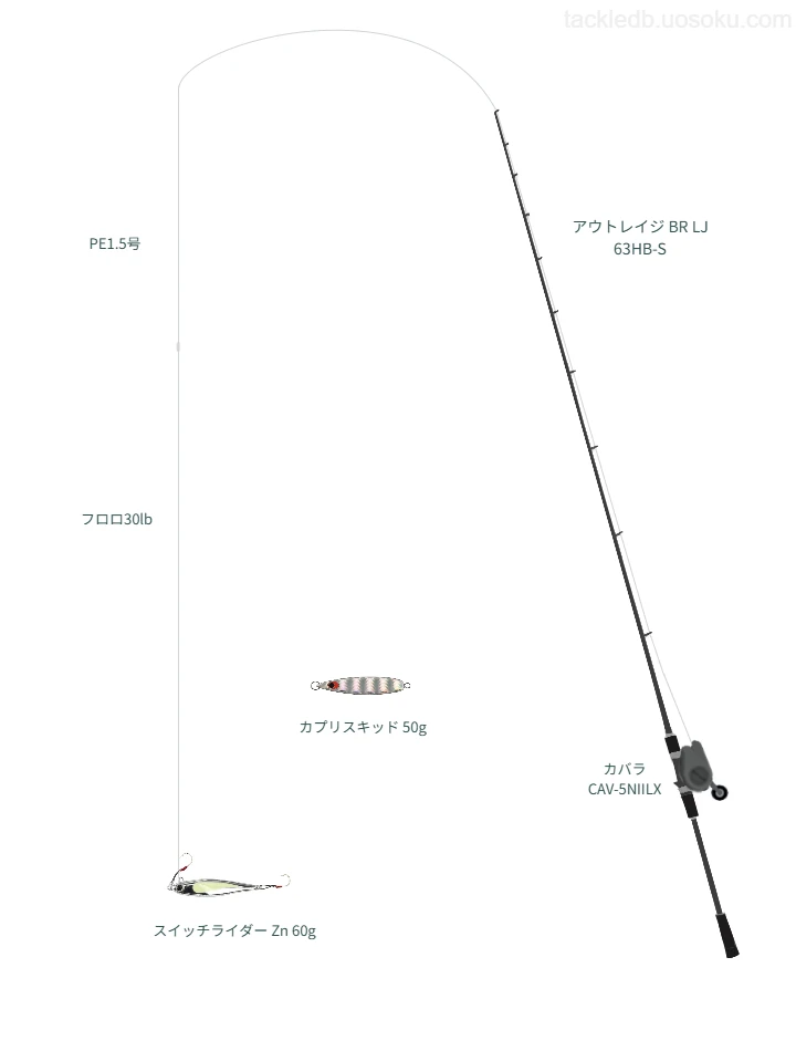 SLJに関するタックル、仕掛け図解
