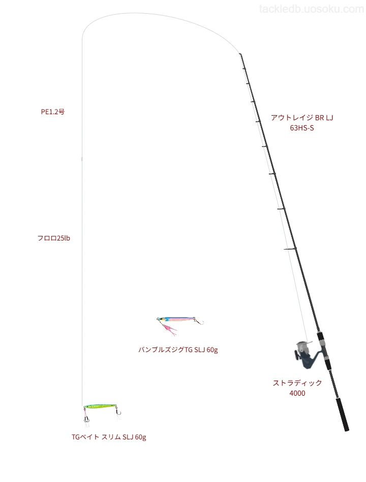 TGベイト スリム SLJ 60gのためのSLJ・ライトジギングタックル
