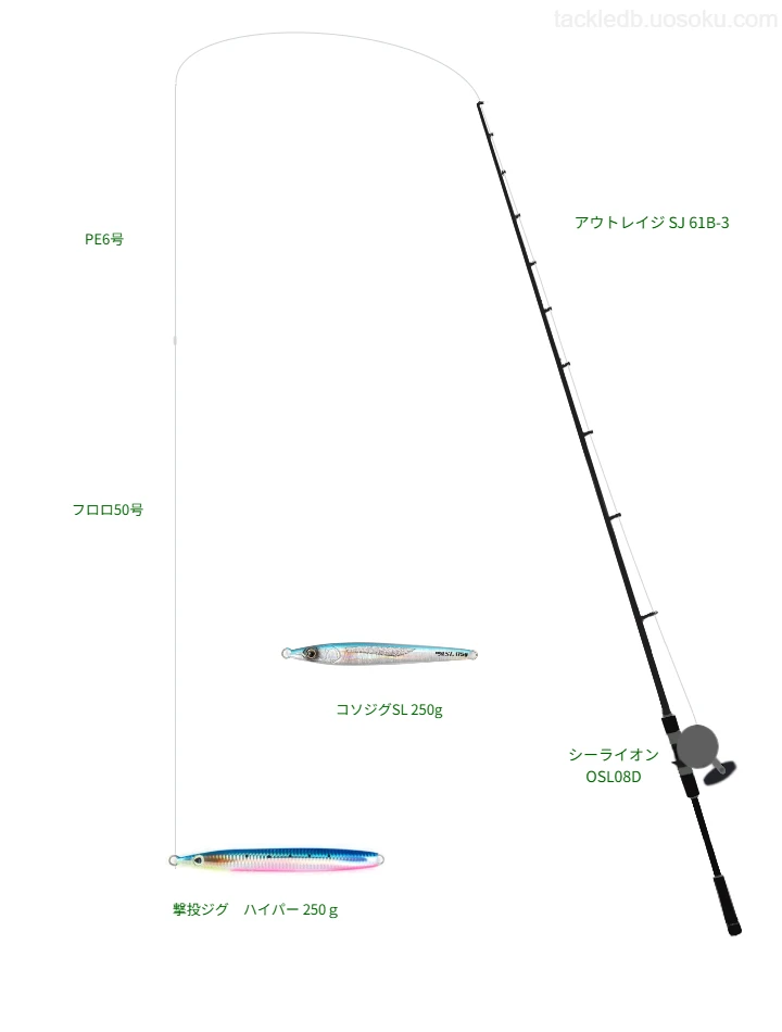 撃投ジグハイパー 250gのためのジギングタックル。ダイワのロッドとマクセルのリール