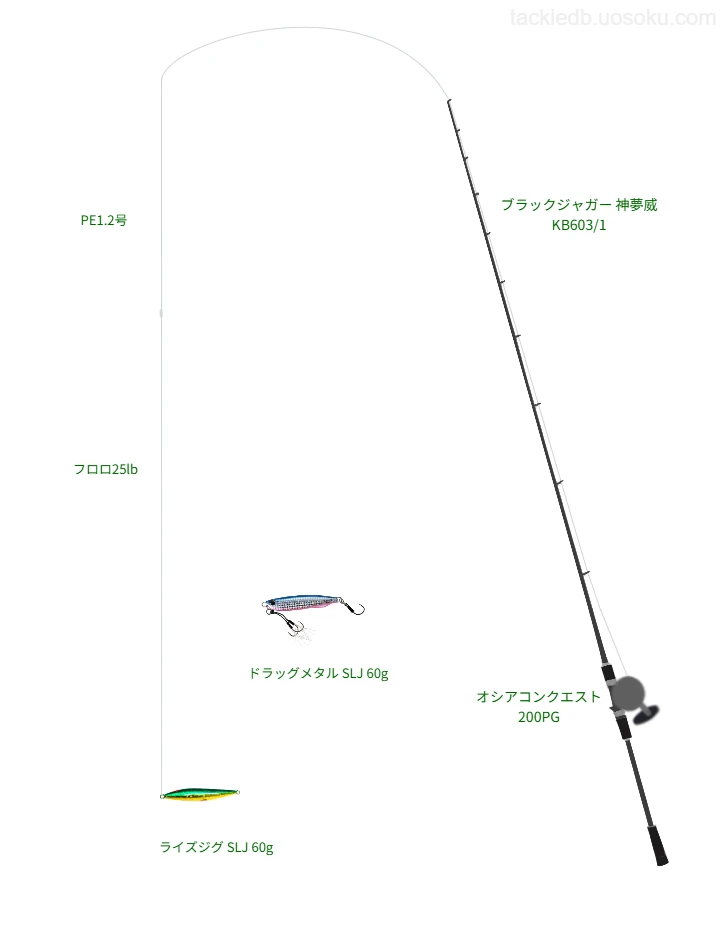 ウエイトが60.0g程度のルアーのためのSLJ・ライトジギングタックル【ライズジグ SLJ 60g】
