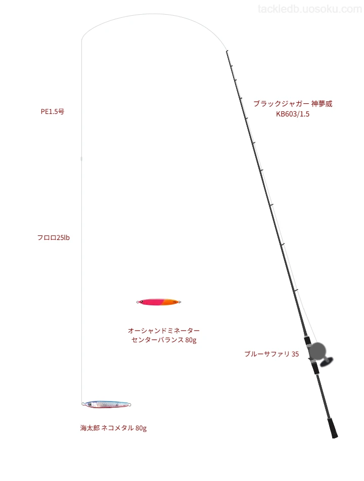 ブラックジャガー使用タックル！インプレ及び合うリールやルアー