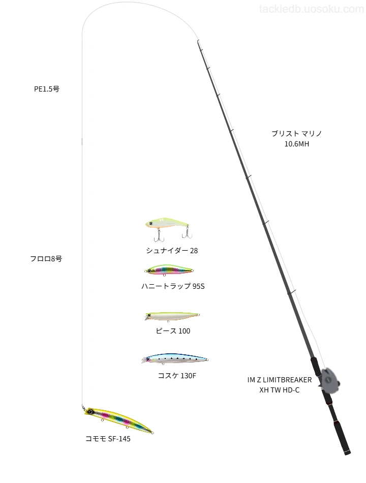 【伊良湖岬】サーフから狙うシーバス【コノシロパターン】