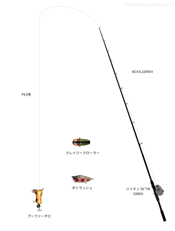 BC4 6.10MXHで行うナマズ釣り