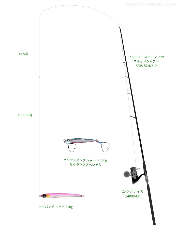 モモパンチ ヘビー 210gを使いこなすタックル【仮想インプレ】