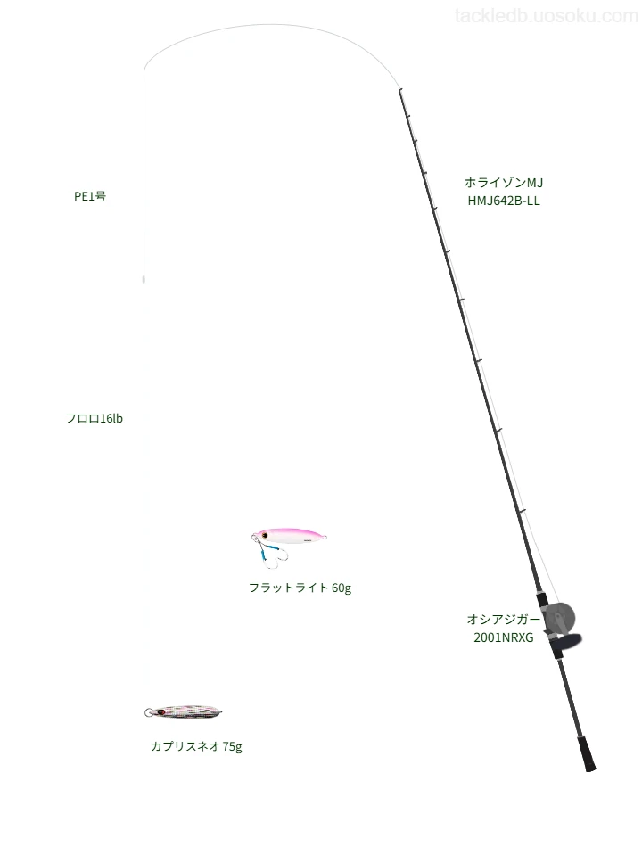 ジギングに関するタックル、仕掛け図解