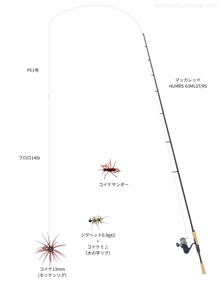 コイケ使用タックル！インプレ及び合うロッドやラインについて | 魚速