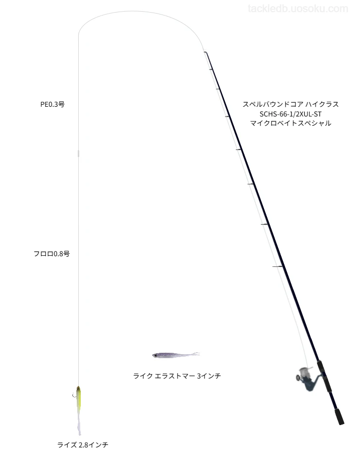 桧原湖スモール表層攻略