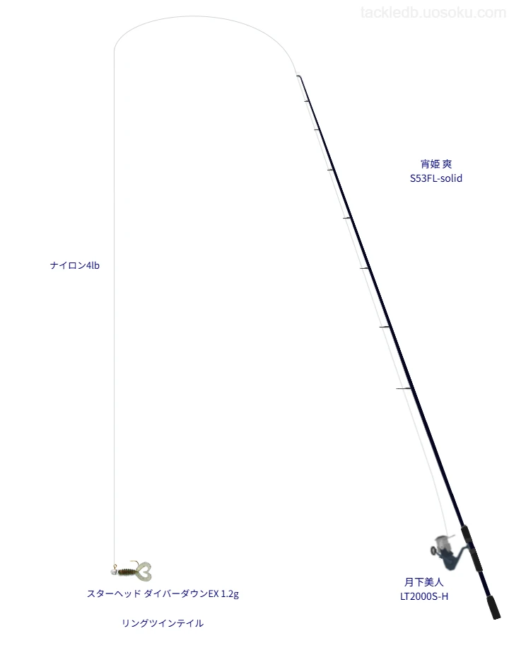 宵姫 爽 S53FL-solidと月下美人 LT2000S-Hによるハイエンドアジングタックル【仮想インプレ】