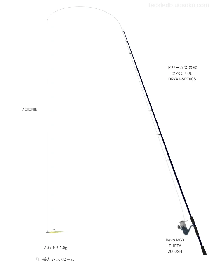 アジングに関するタックル、仕掛け図解