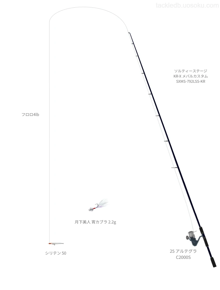 シリテン 50のためのメバリングタックル。アブガルシアのロッドとシマノのリール