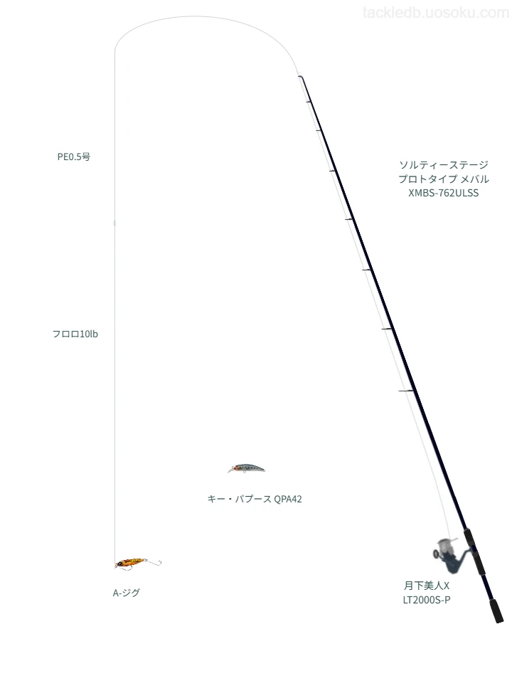 月下美人使用タックル！インプレ及び合うロッドやラインについて | 魚