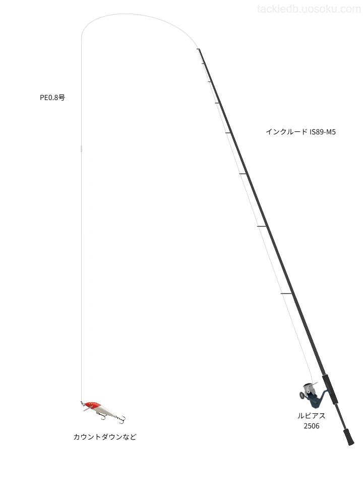 インクルード IS89-M5で行う小規模河川のシーバスゲーム
