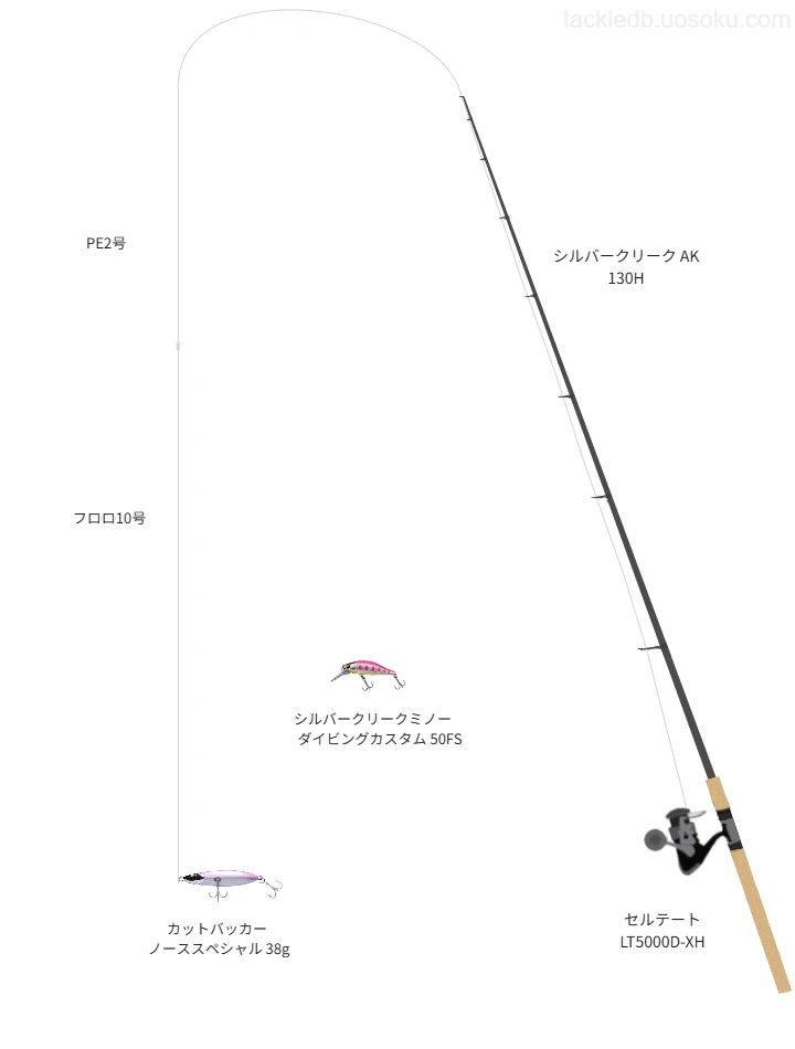 ネイティブトラウトに関するタックル、仕掛け図解