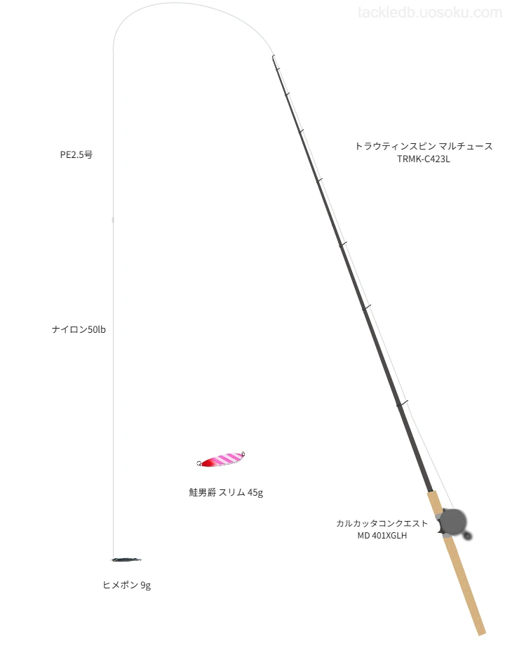 ソウルズのヒメポン 9gの仮想使用におけるインプレッション