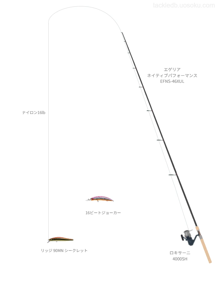 エゲリア ネイティブパフォーマンス EFNS-46XULの仮想使用におけるインプレッション