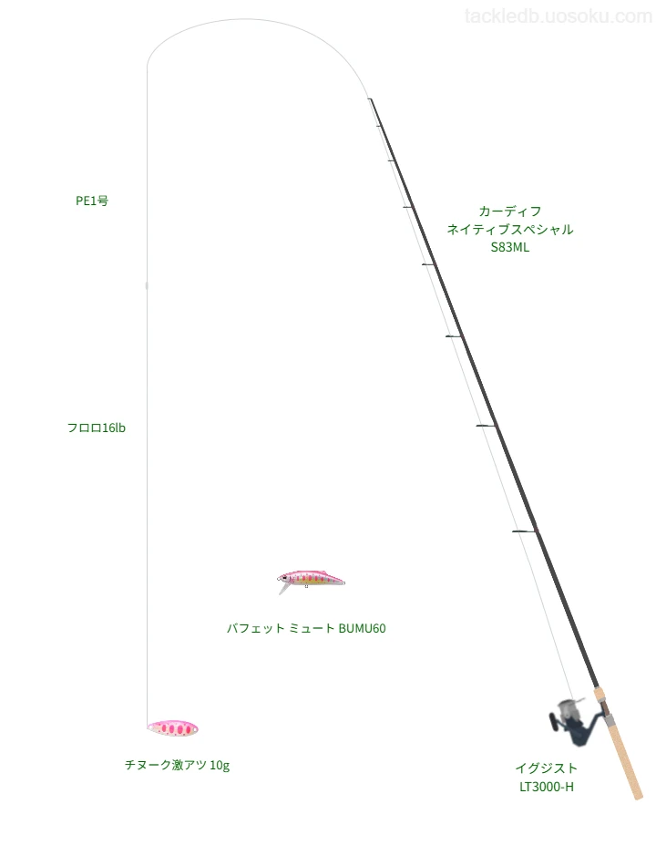 チヌーク激アツ 10gのためのトラウトタックル。シマノのロッドとダイワのリール