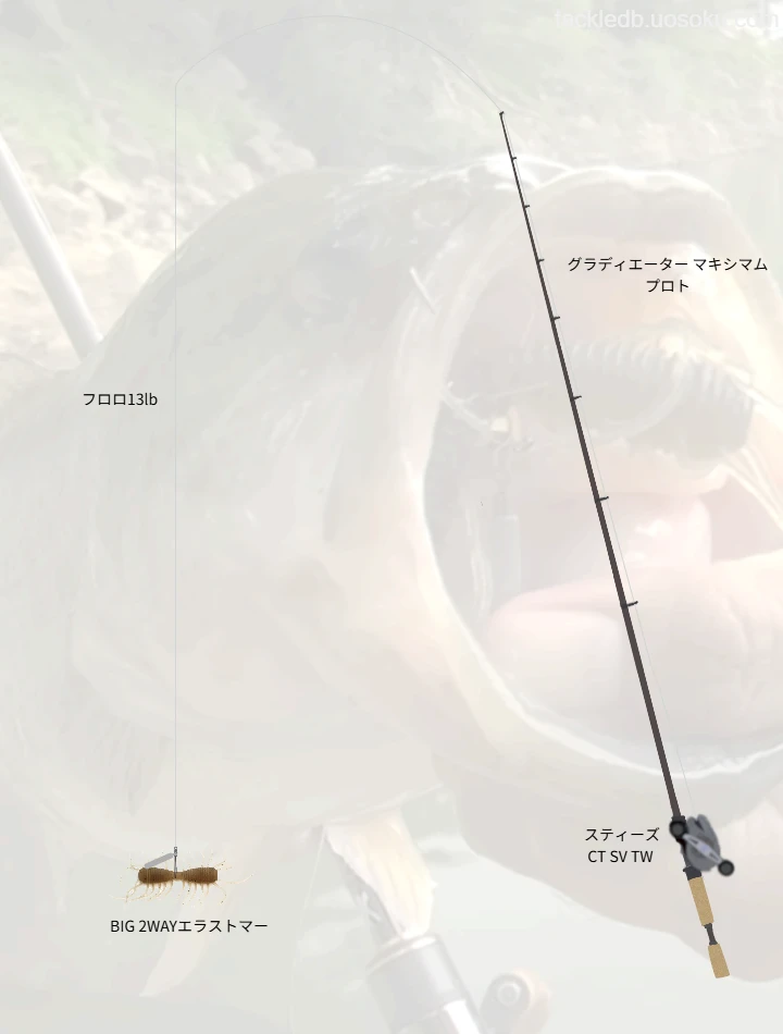 BIG 2WAYエラストマーで室生ダムの有名ポイントを攻略