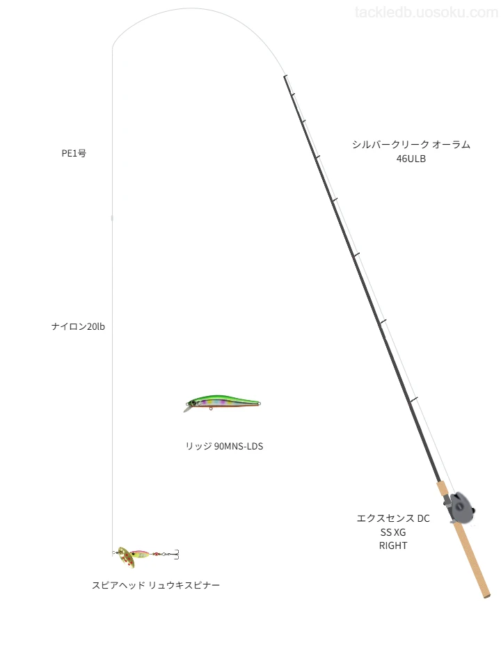 ネイティブトラウトに関するタックル、仕掛け図解