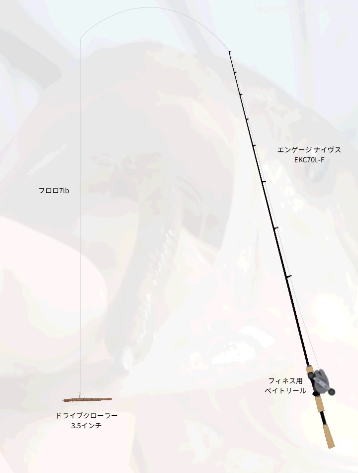ドライブクローラー3.5inネコリグで攻略する冬の減水リザーバー【津久井湖】