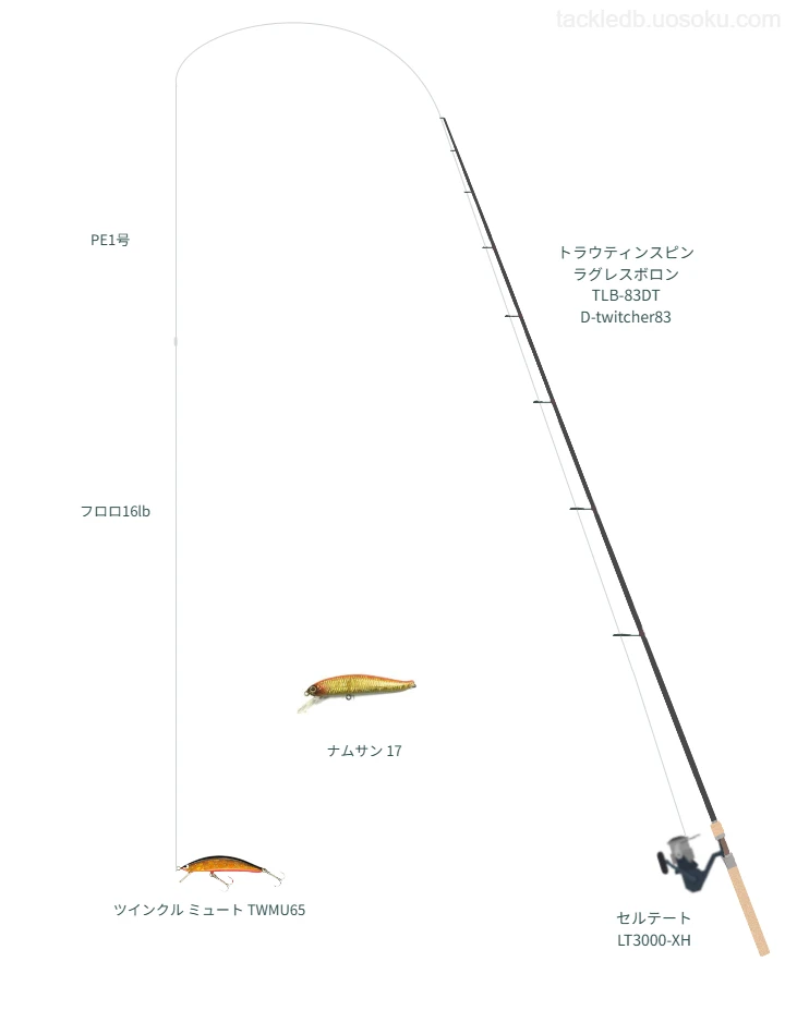 ネイティブトラウトに関するタックル、仕掛け図解