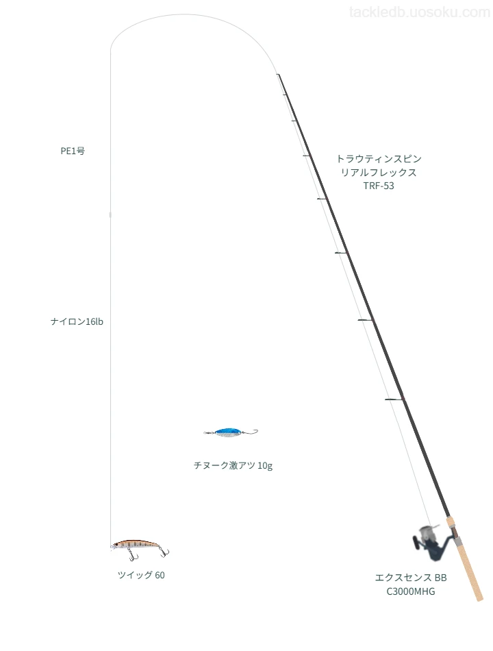 ネイティブトラウトに関するタックル、仕掛け図解