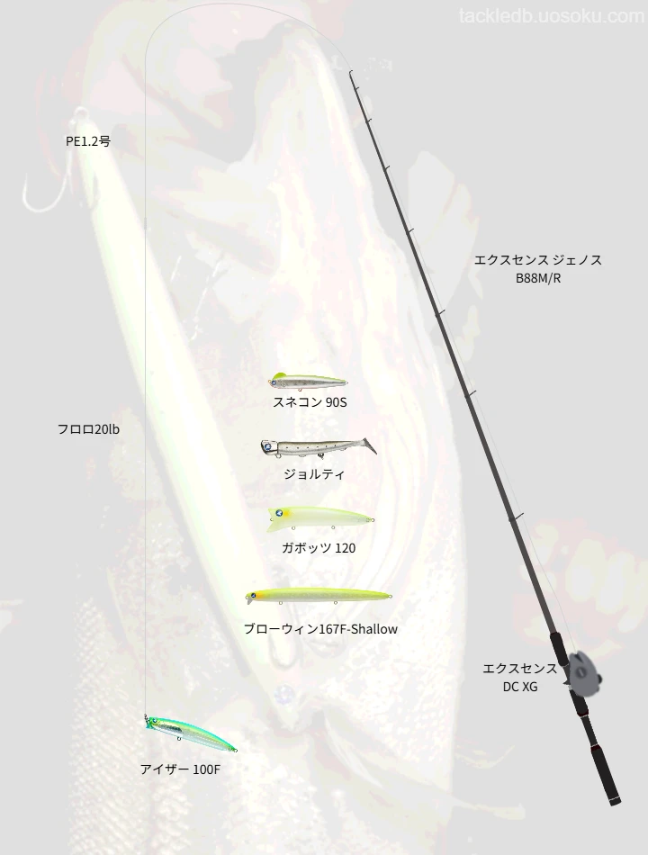 秋の混合ベイトパターンを攻略するルアーローテーション【湾奥シーバス】
