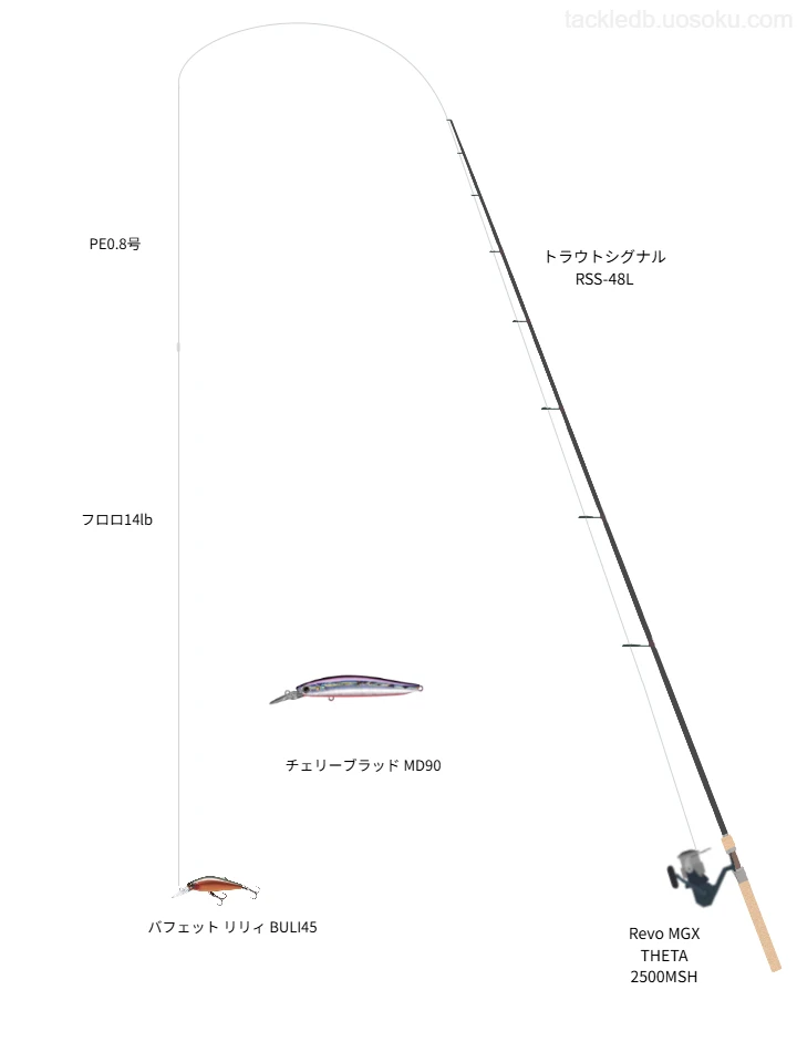 ネイティブトラウトに関するタックル、仕掛け図解