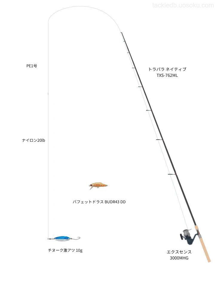 ウエイトが10.0g程度のルアーのためのトラウトタックル【チヌーク激アツ 10g】